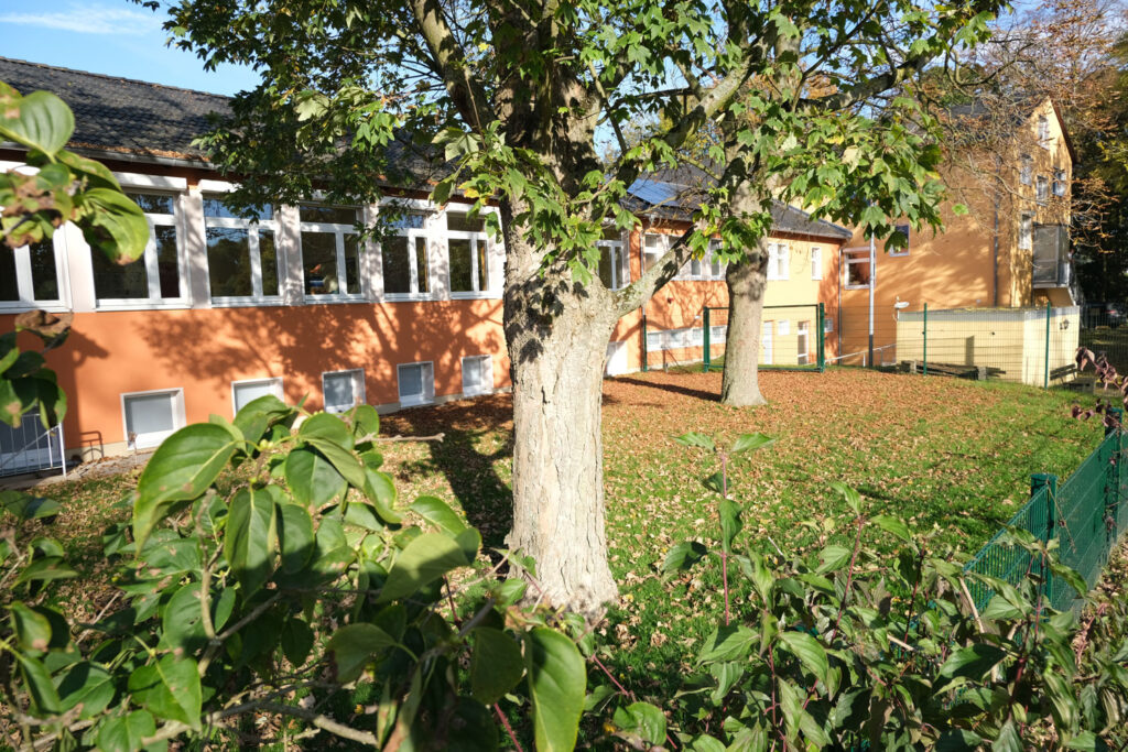 gruenes-klassenzimmer