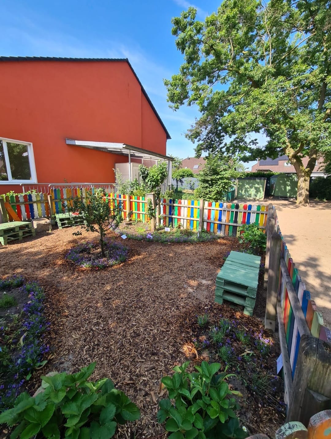 PHOTO-2026-02-02-13-07-47 4